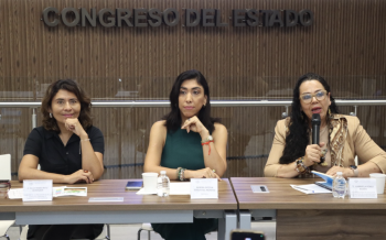 Convoca diputada Norma Pimentel a participar en el Foro sobre el Derecho Integral al Cuidado